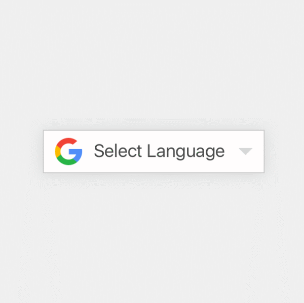 Google Translator Integration for Any Website