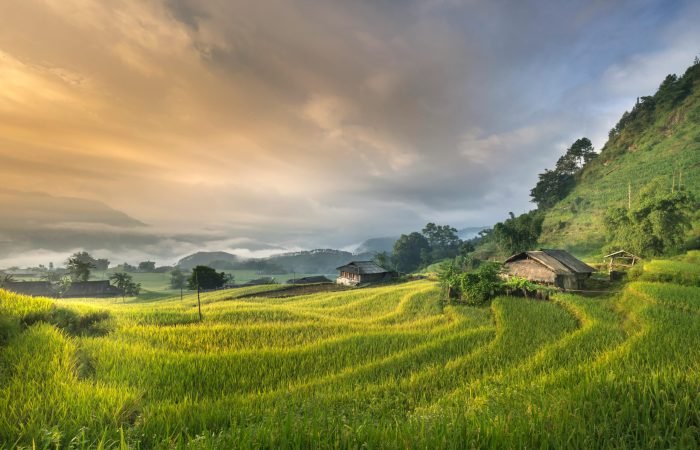 pexels-quang-nguyen-vinh-222549-2132106